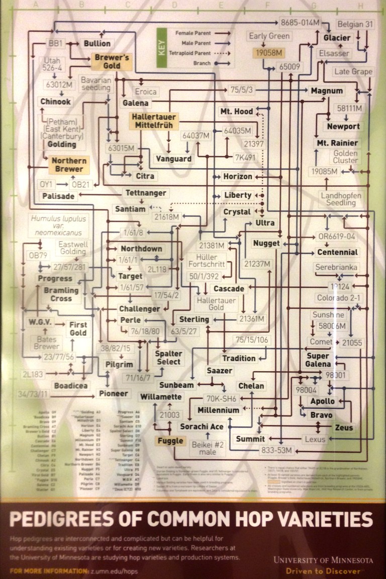 hop-pedigree-umn